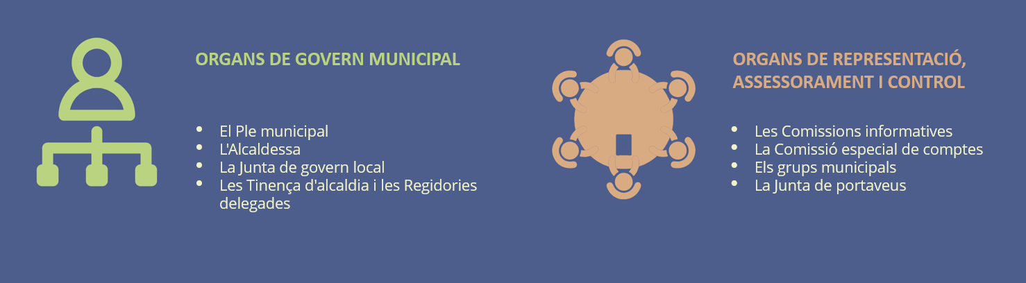 Òrgans de govern municipal i de representació
