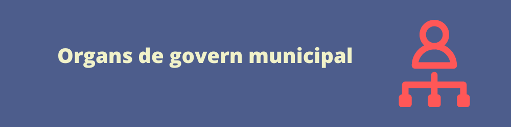 Òrgans de Govern Municipal