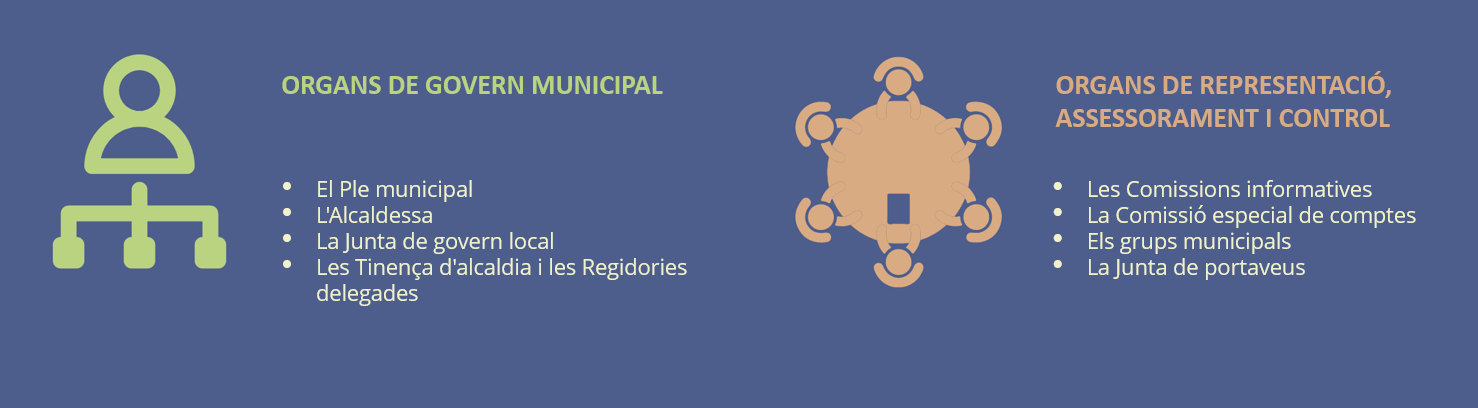 Òrgans de govern
